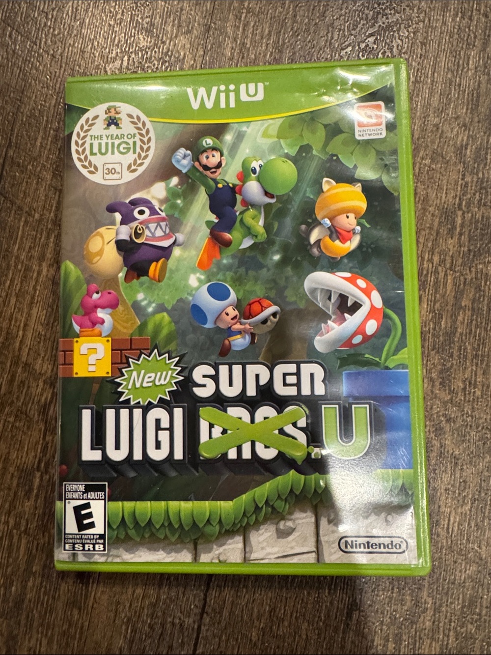 Super Luigi Bros U